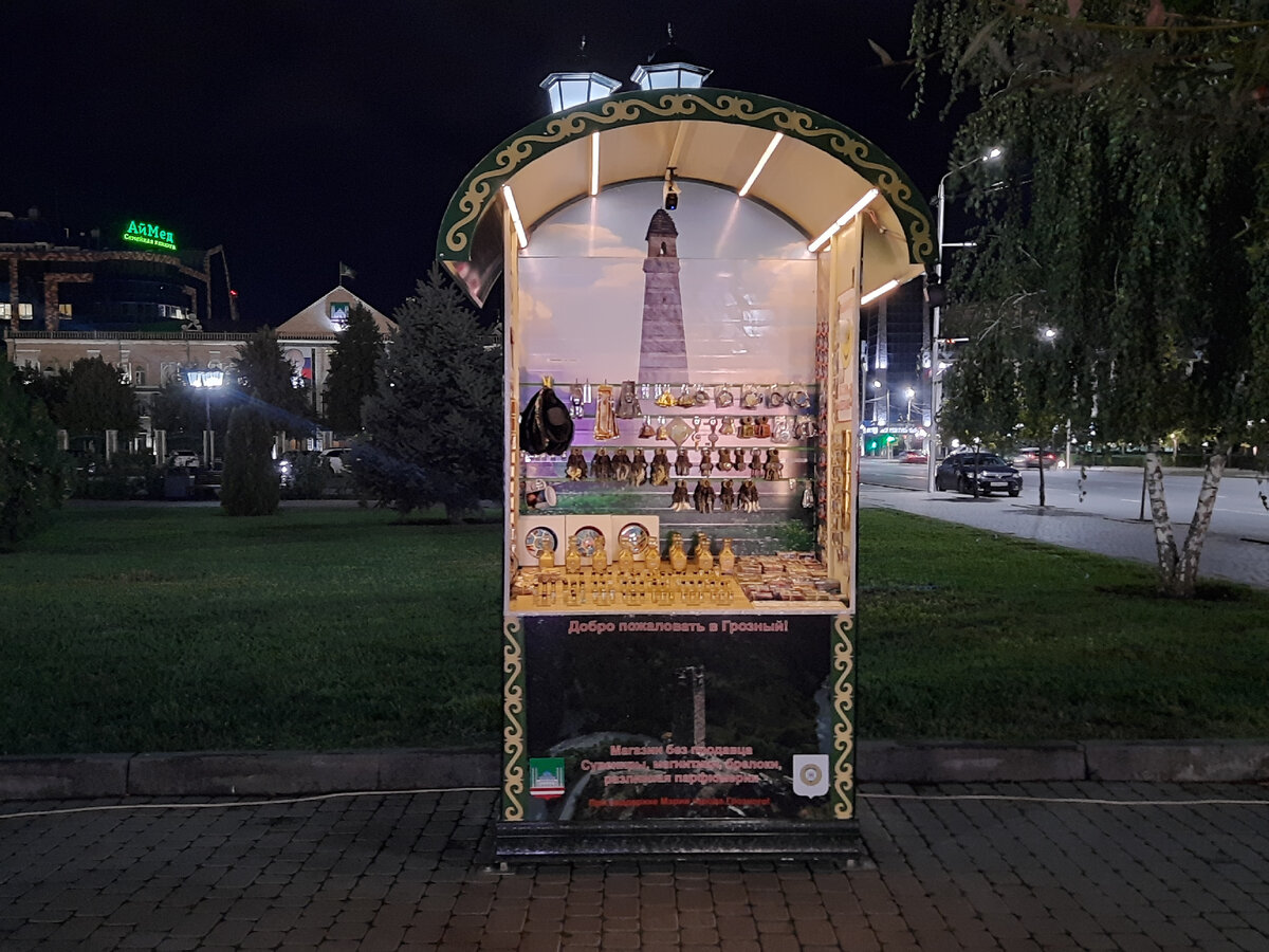 Поехать в Чечню, вы сошли с ума, говорили нам друзья! Но мы поехали,  рассказываем как там и как относятся к туристам местные. | Автобродяги  Путешествия на машине | Дзен