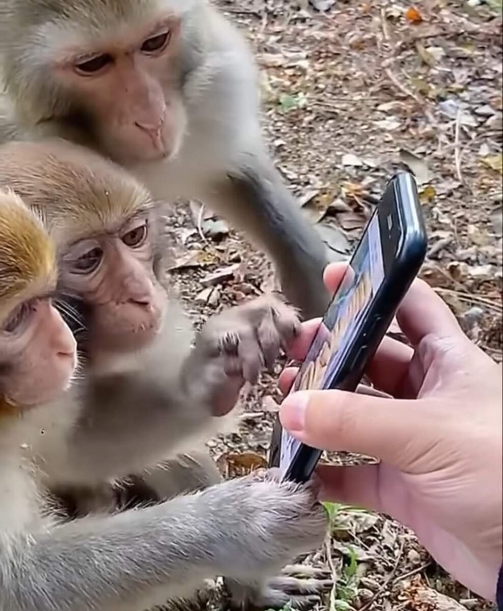 Не после этой сцены они его утащили