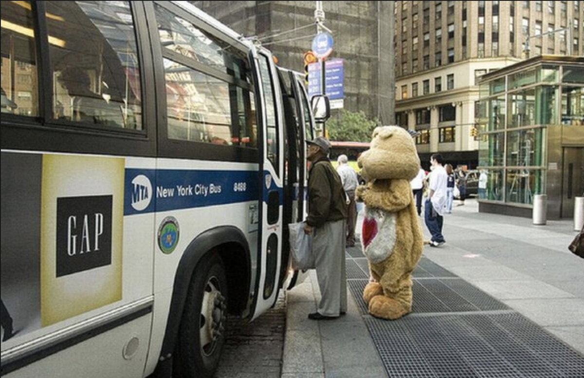 Bear bus