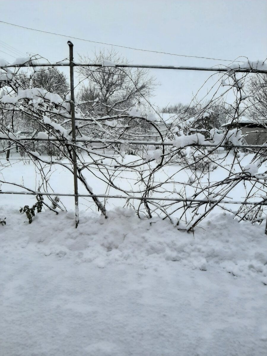 Мои сугробы 😁