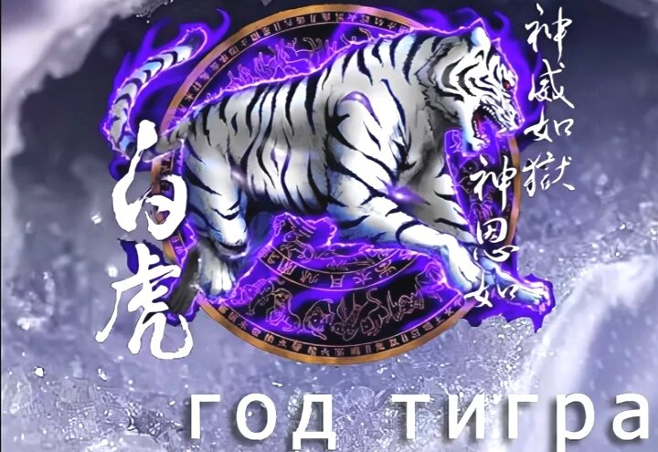Тигр какой гороскоп. Год тигра 2010. Год металлического тигра. 2010 Год белого металлического тигра. 2010 Год по гороскопу.