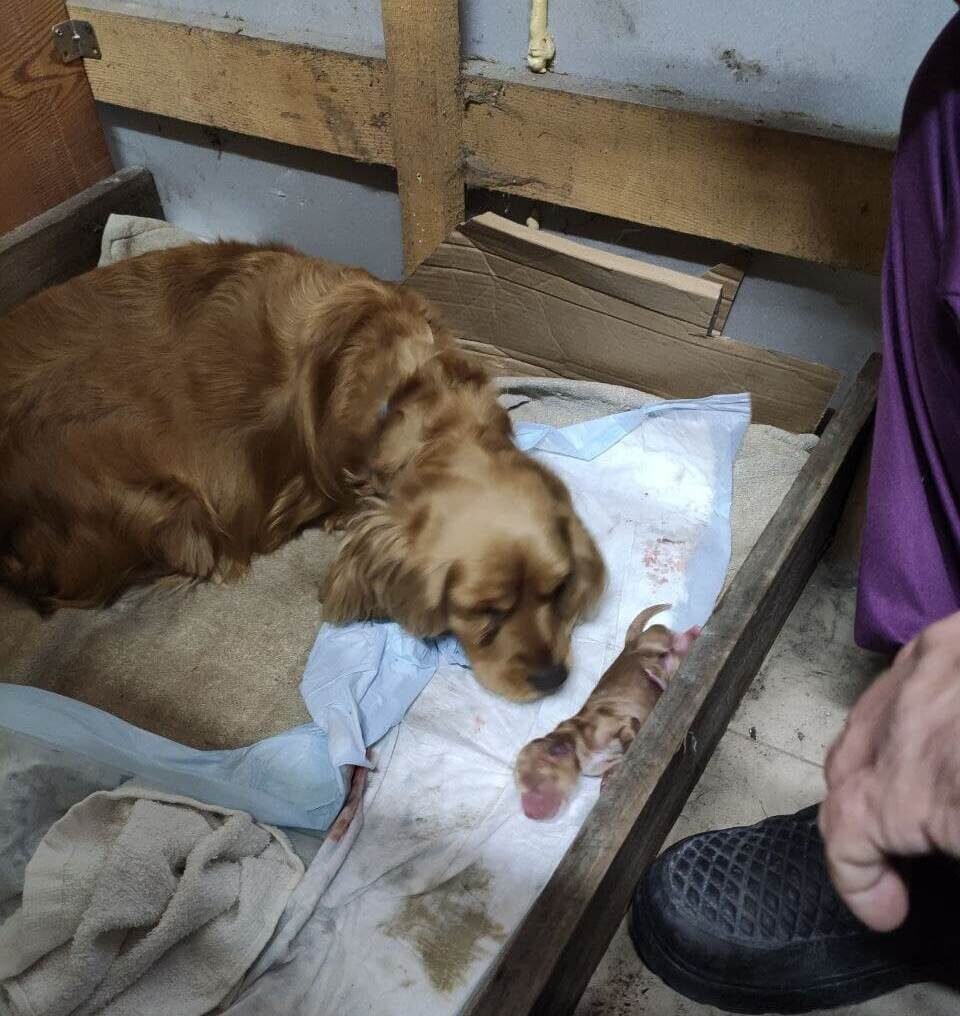 Первый пошел! Второму приготовится.