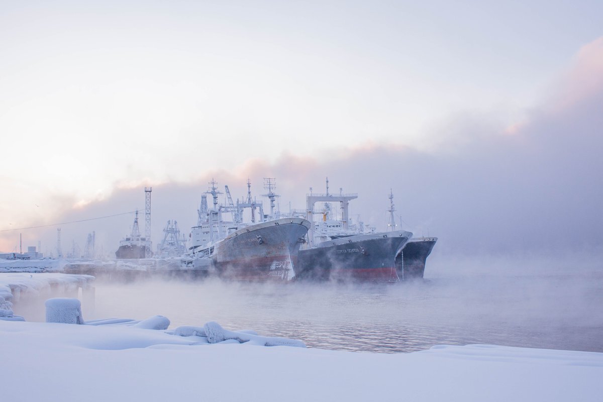 Кольский залив. Туманы. Автор nat-geo.ru