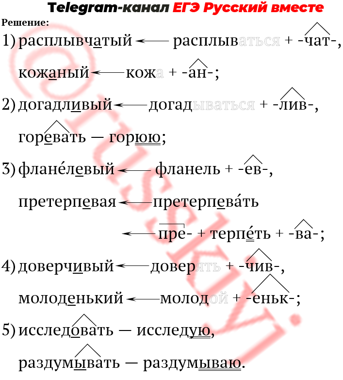 ОГЭ и ЕГЭ по русскому языку в 2024 учебном году: разбор изменений