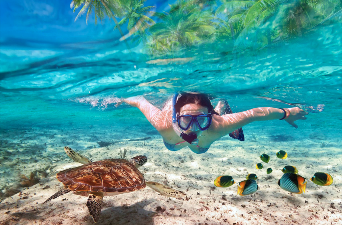 Tropic Tree Maldives снорклинг