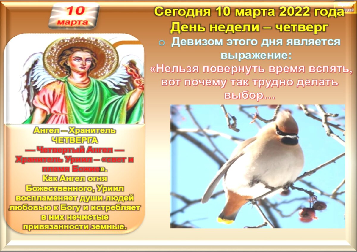 Какой праздник 20 октября 2023 года