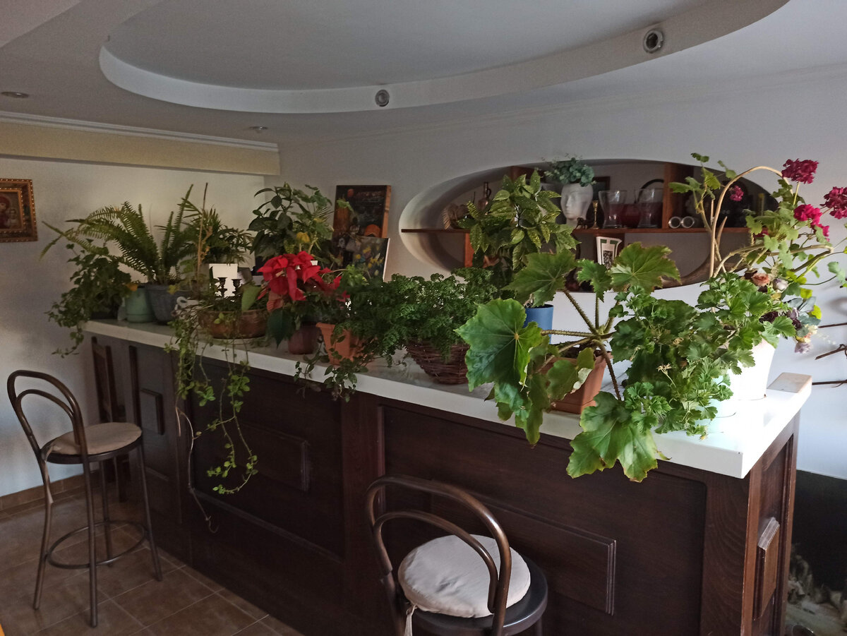 Ресепшн по-домашнему