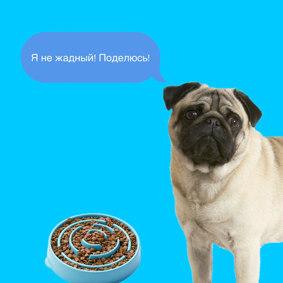 фотография создана Полиной Ф.