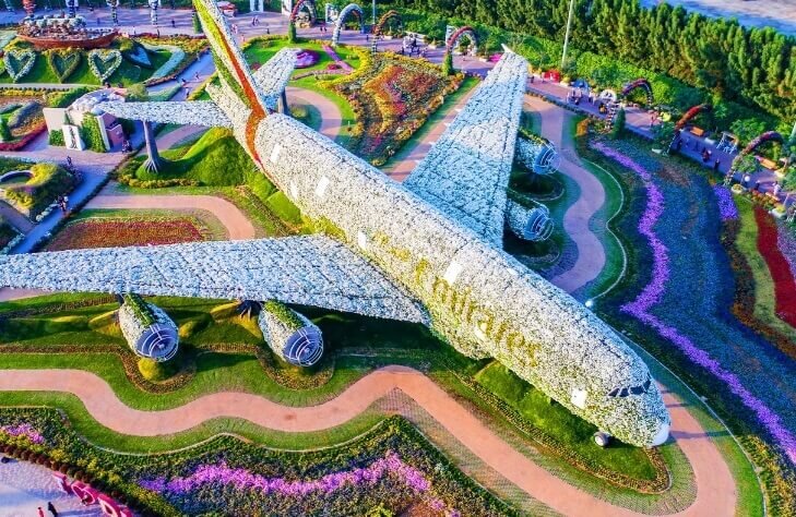 На фото кстати изображён Airbus A380 компании Emirates  в парке Dubai Miracle Garden – цветущий оазис в пустыне .Его длина составляет 73 м, высота 24 м, а размах крыльев 80 м.
