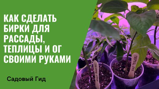 Как и из чего сделать бирки для рассады: подборка оригинальных идей по созданию ярлыков