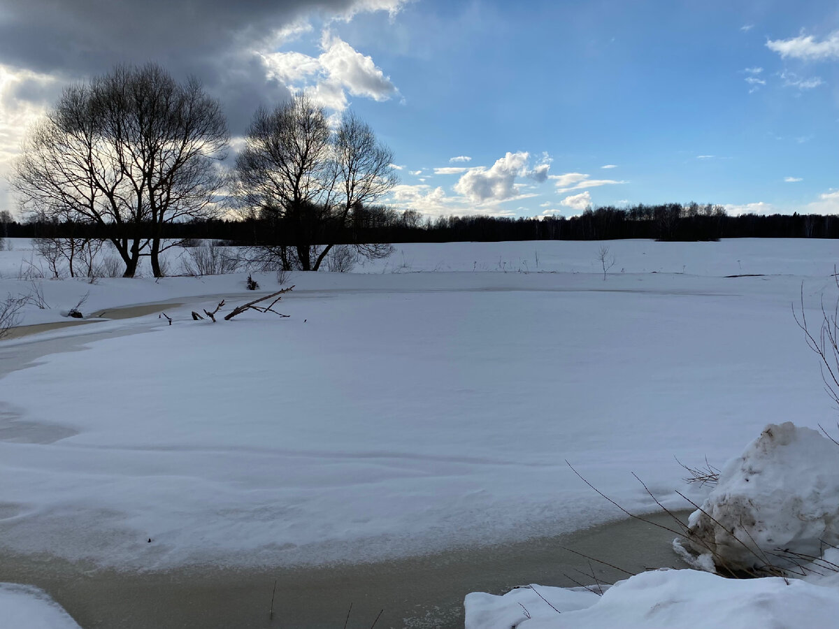 Вот в этом лесу капканы ставили с отцом в детстве