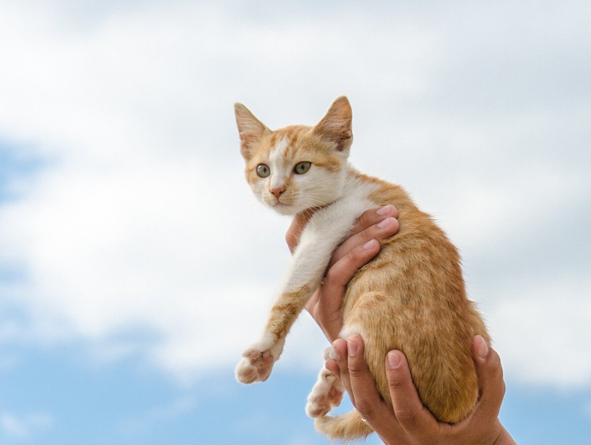 Здесь мне два месяца 