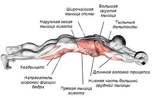 На каких тренажерах заниматься, чтобы убрать живот — Спортмастер Медиа