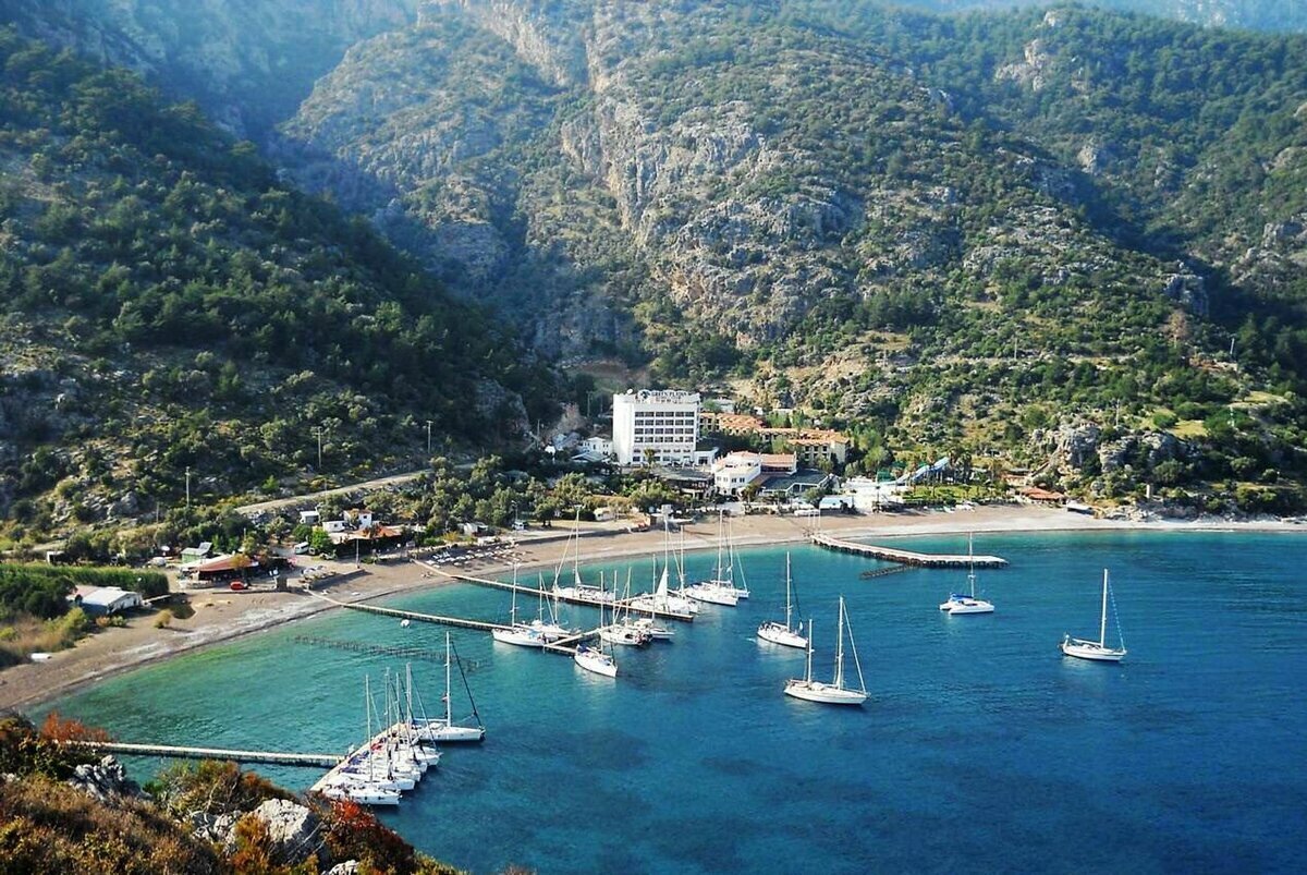 фото из интернета Яндекс картинки