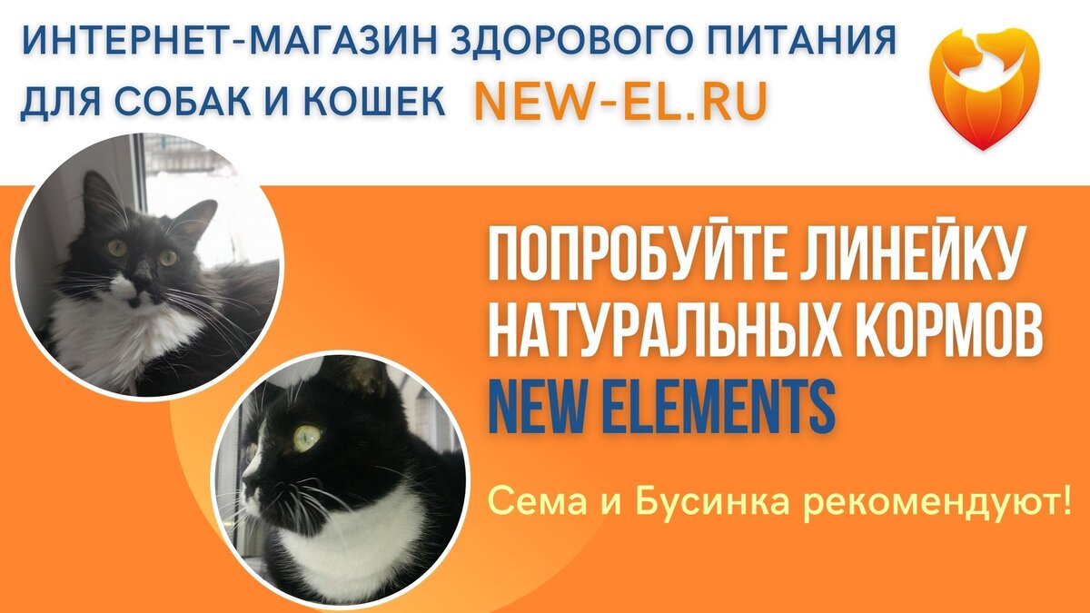 Натуральные корма для собак и кошек NEW ELEMENTS в интернет-магазине new-el.ru
