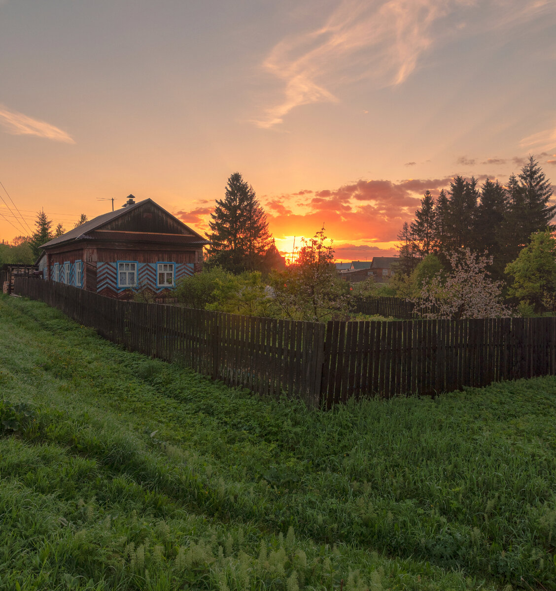 Лето в деревне фото реальные