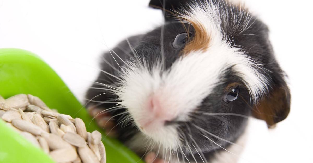 источник яндекс картинки