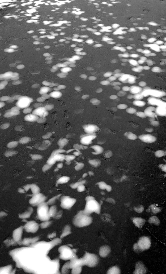 ФОТО ПРИНАДЛЕЖИТ АВТОРУ КАНАЛА