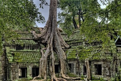 Изображение из открытого источника. Unsplash