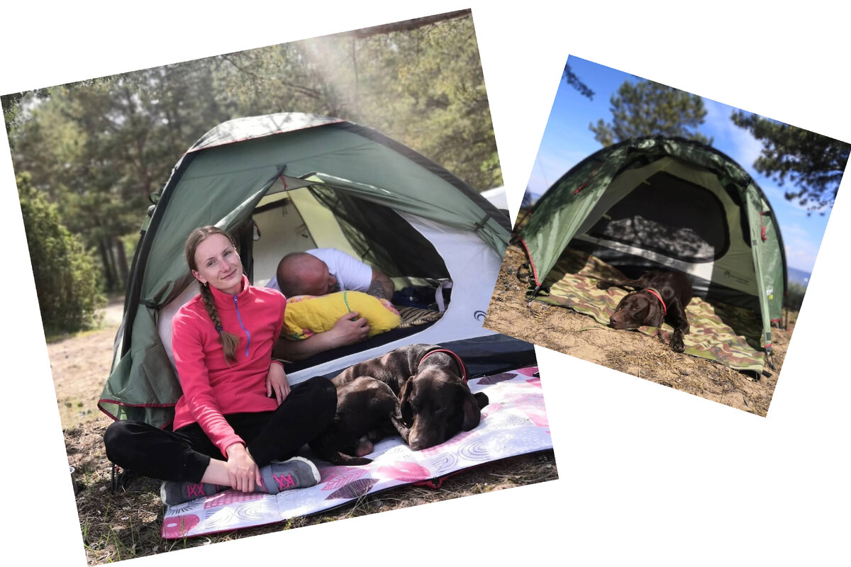 Палатка туристическая. Как купить и не переплатить