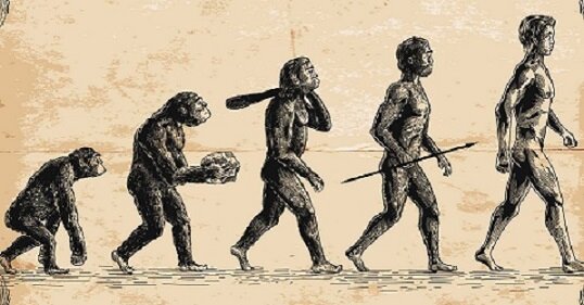 Источник: https://i.ytimg.com/vi/Qjr4mg_9K8M/mqdefault.jpg