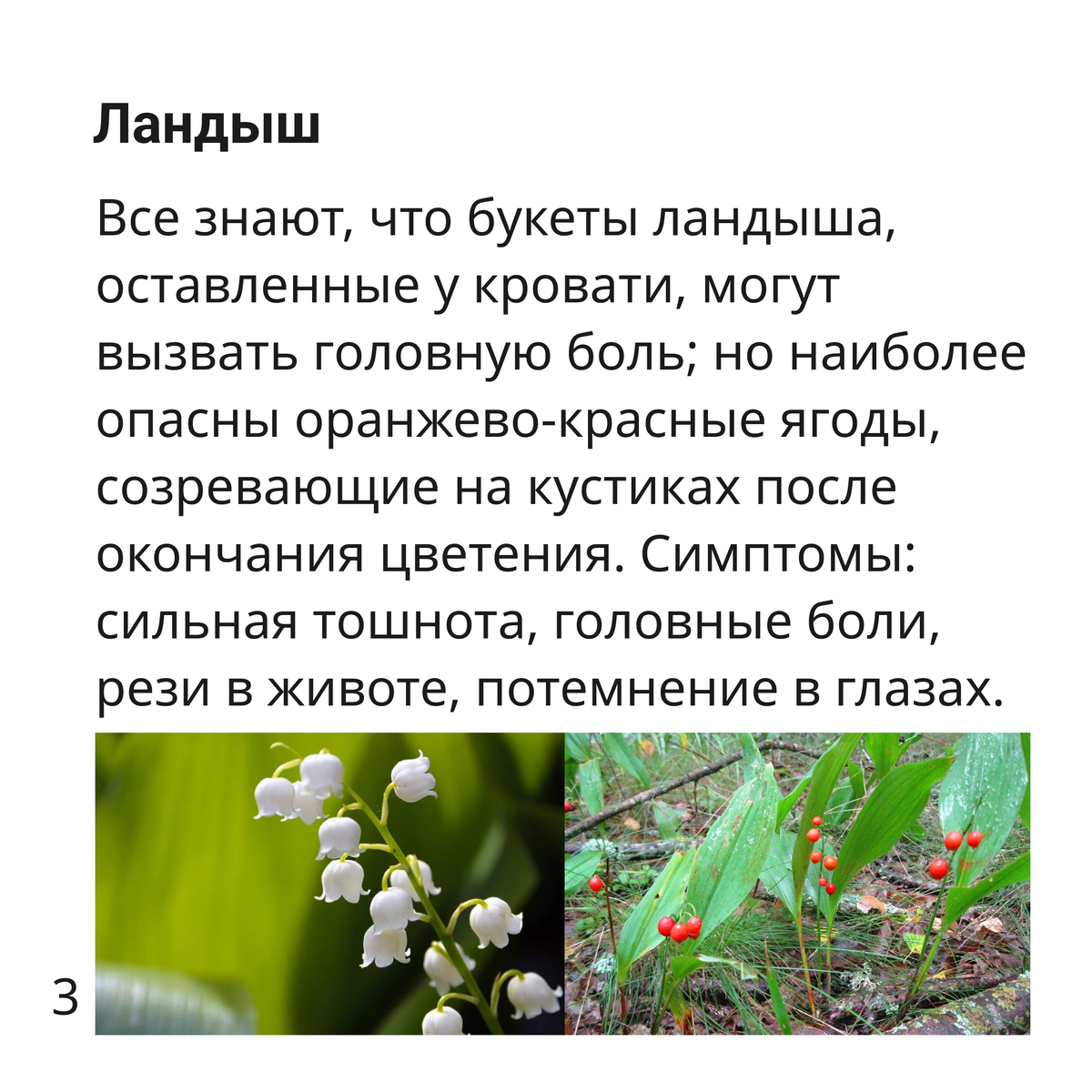 -2-3