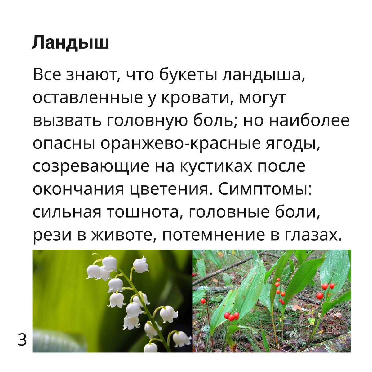 В тёплые летние дни каждому хочется убежать от городской <b>суеты</b>.-<b>2</b>-3. 