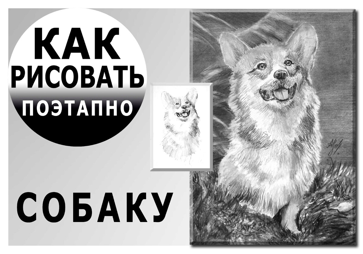 Как нарисовать щенка для начинающих