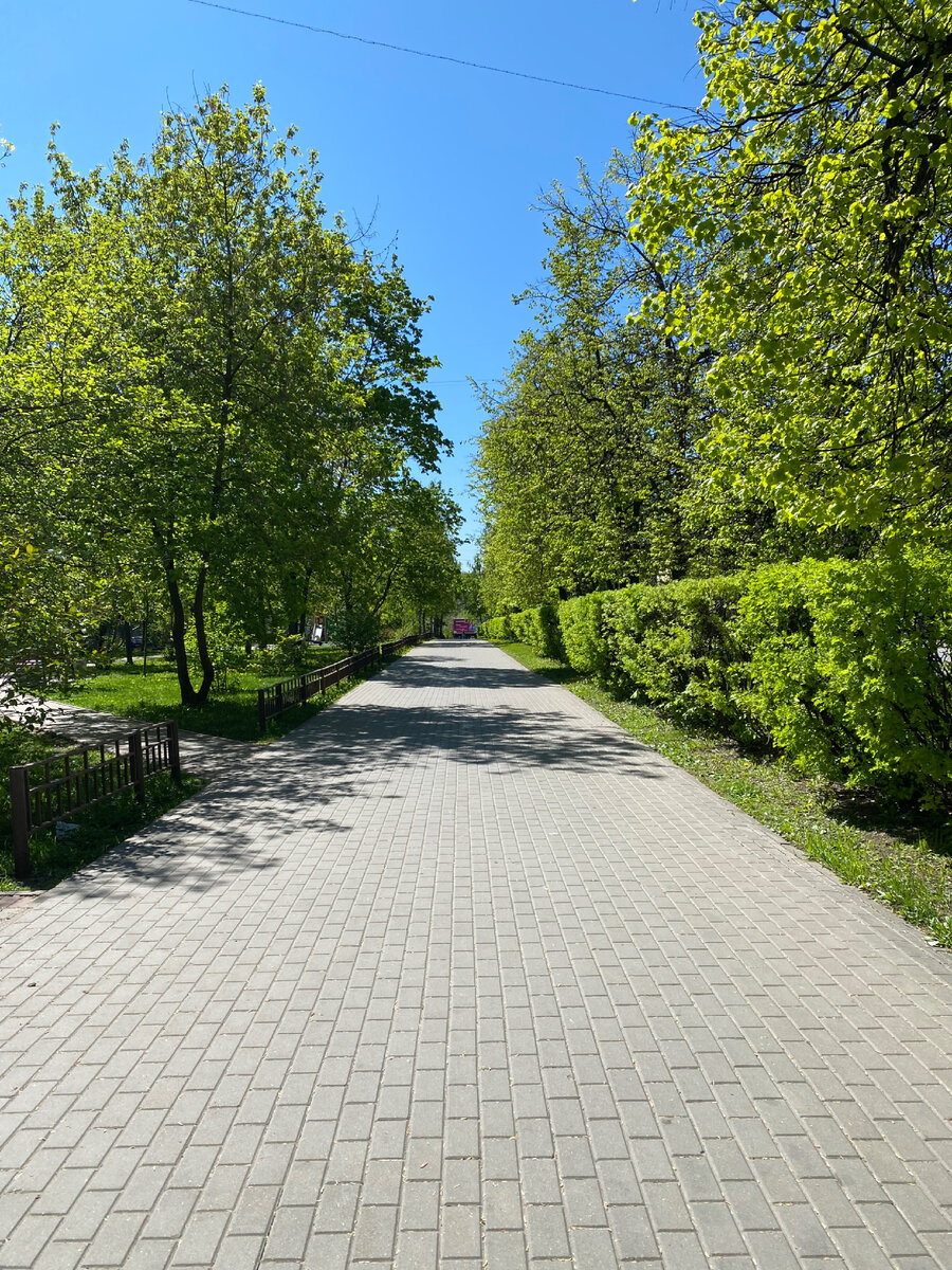 Пешеходная зона проспекта 