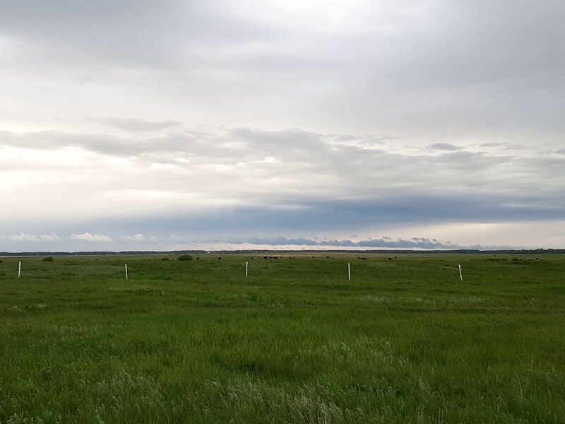 Участок до забора, с виду не похож на дичайшую мусорку, но это обманчивый вид - вторую такую мусорку еще поискать надо.