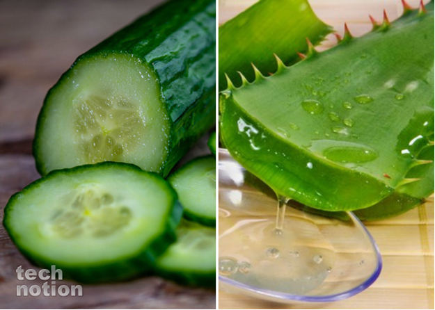 Уменьшить боль от солнечных ожогов помогут огурец и алоэ / Изображение: дзен-канал technotion