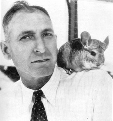 Матиас Фаррелл Чапмен — американский горный инженер, основатель шиншилловой промышленности