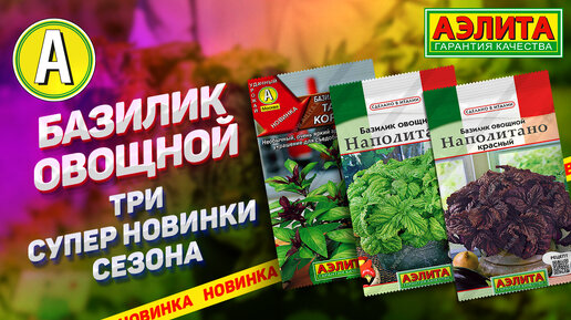 ТАКОЙ БАЗИЛИК вы еще не выращивали! Базилик овощной - три оригинальных новинки сезона!