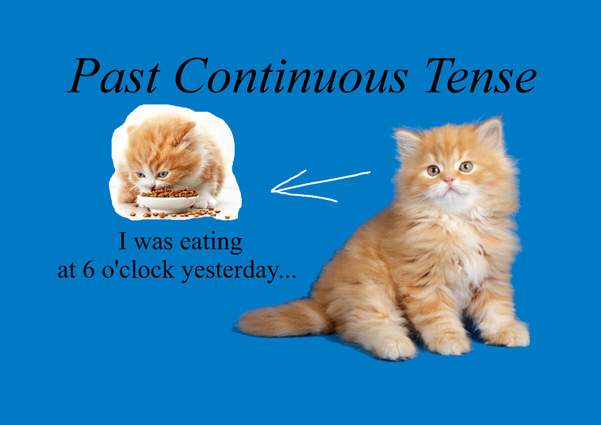 Время Past Continuous в английском языке | English Cats | Дзен