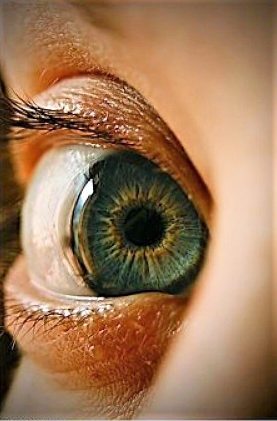 Феназепам и зависимость от него