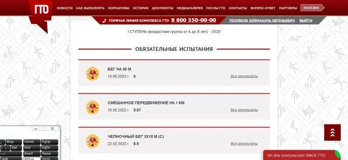    Результаты Хеймдалля Теплякова по ГТО Данил Тармасинов