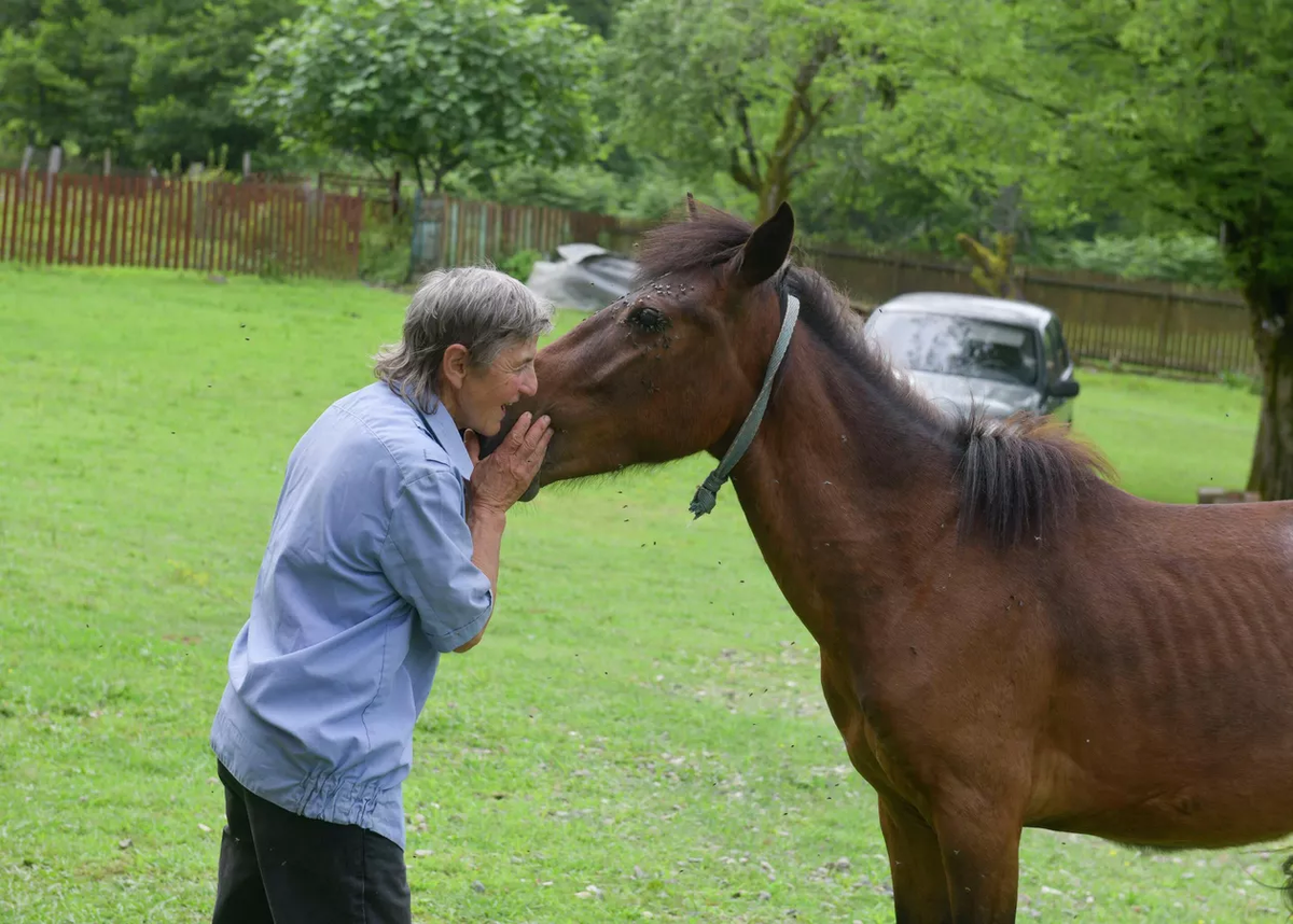 © Sputnik / Томас Тхайцук