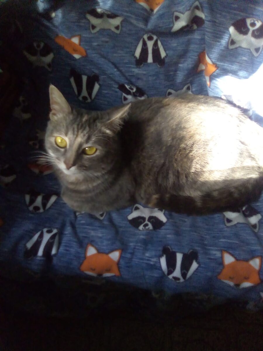 Ласка на кухне..