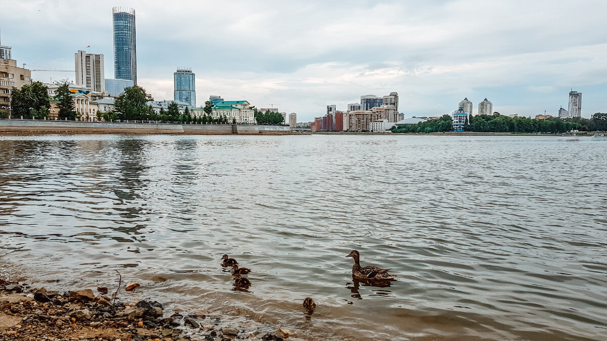 Река Исеть в центре Екатеринбурга