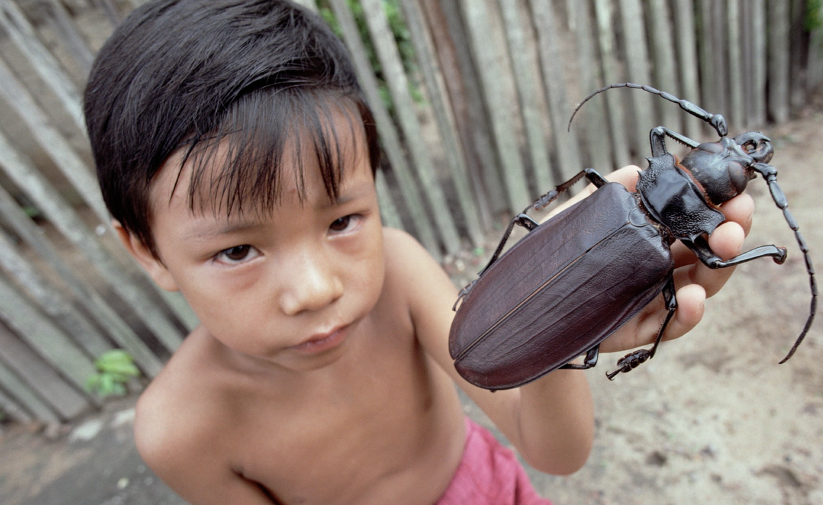 • 3D Насекомые • 3D Insects •