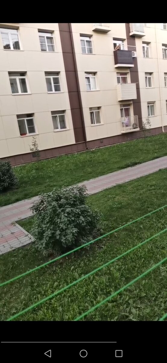 Скрин из видео крикуна