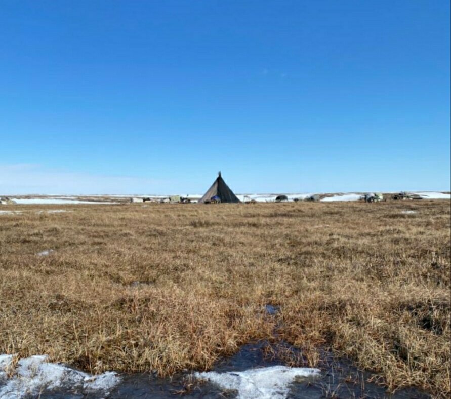Фото автора - Чум (традиционное жилище народов Ямала) 