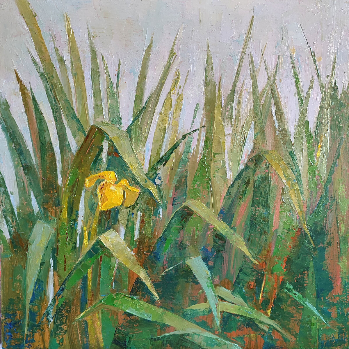 Лето. Начало
двп/масло
50х50
2022 г.
Автор: Краюшкина Марина
