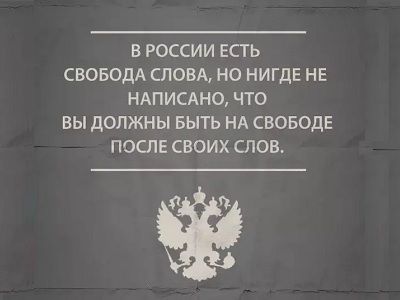 «Дзен» предлагает лишить зарплаты Путина и министров за раскол общества3