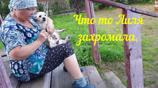 Из москвы в деревню или пенсионеры. Из Москвы в деревню или пенсионеры на позитиве. Из Москвы в деревню или просто Марина.. Лиль деревня. Будем жить на позитиве