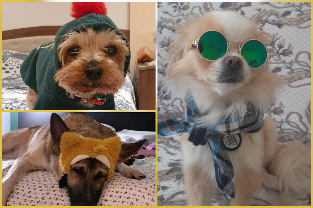 Самые модные!) 