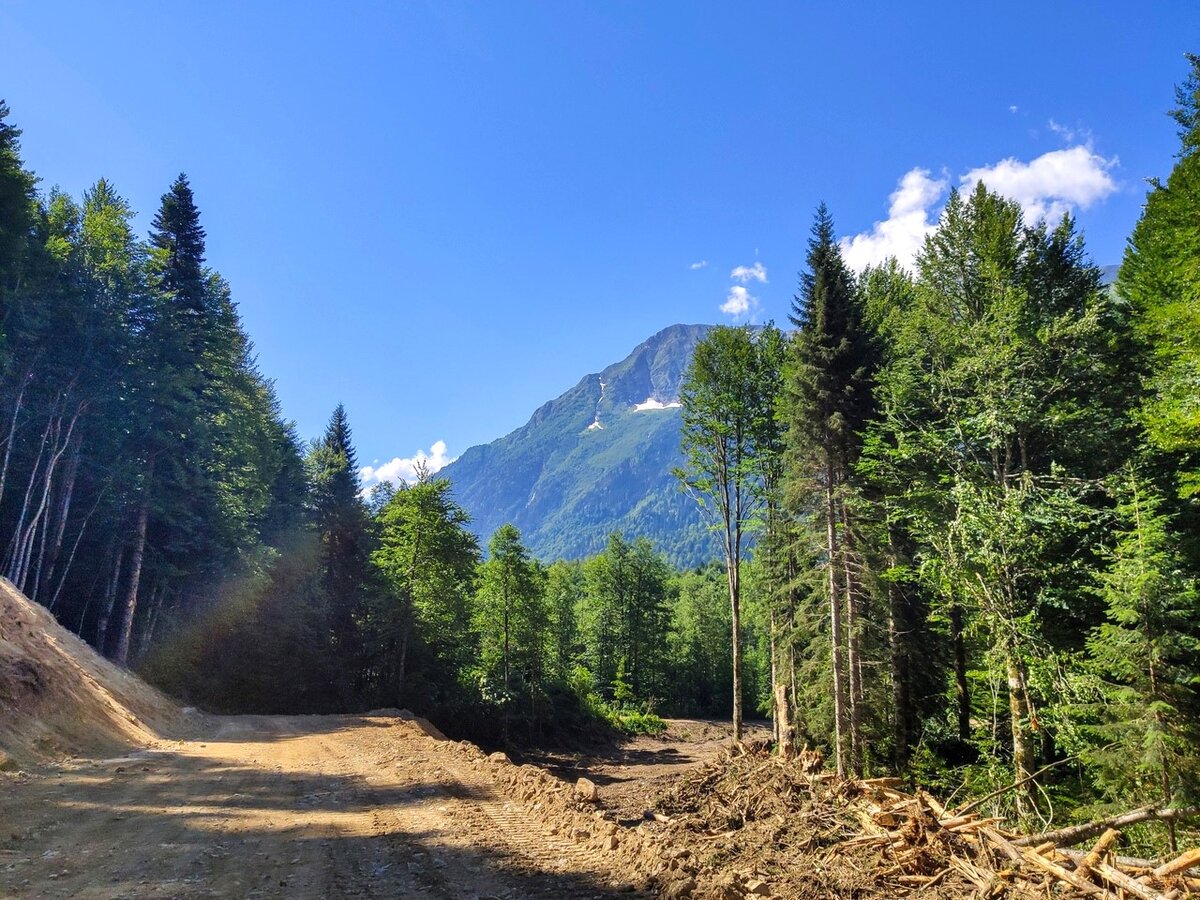 Пхия красная Поляна дорога