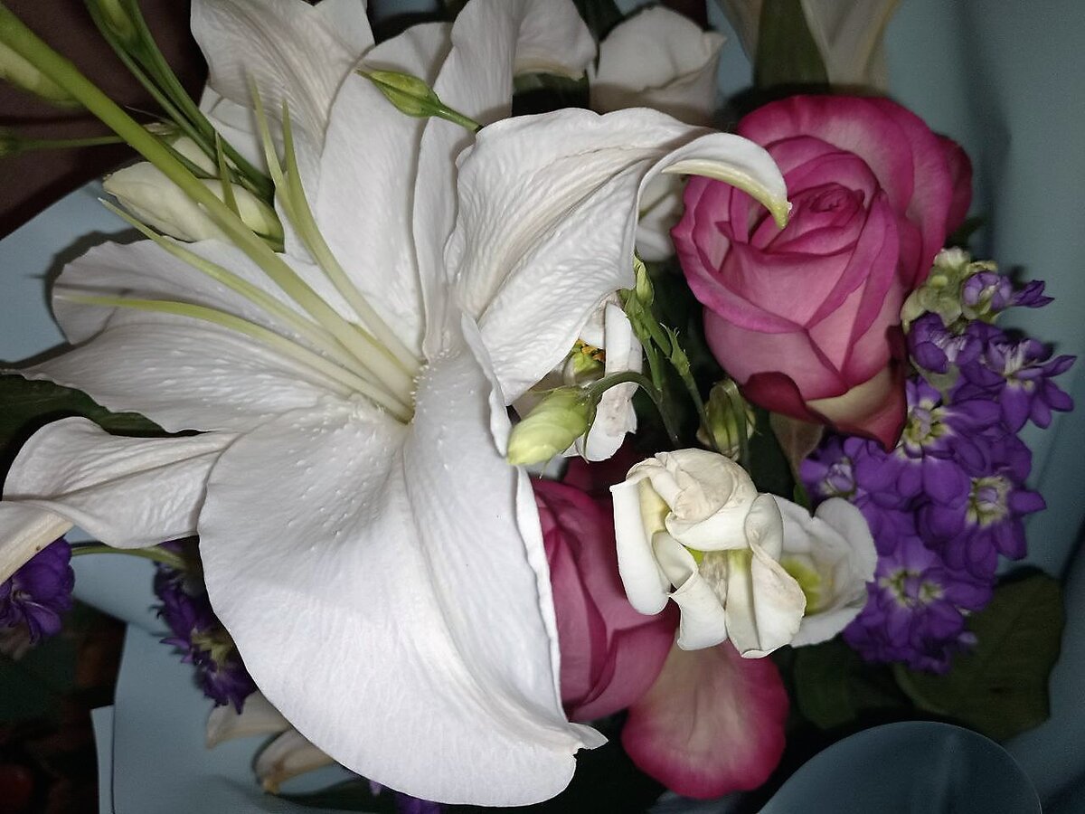 Цветов много не бывает)