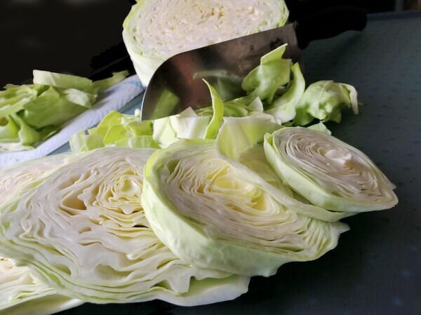   © Image by moritz320 from Pixabay