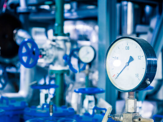     Фото: freepik.com.